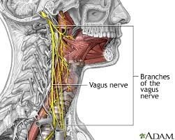 cervical instability